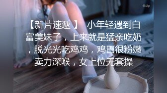 91经典系列资源整理合集P12【105V】 (15)