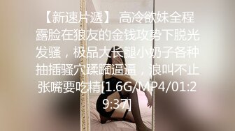 后入后入母狗小骚逼