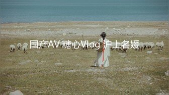 国产AV 糖心Vlog 沪上名媛