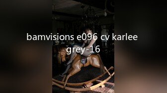 bamvisions e096 cv karlee grey-16