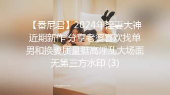 【番尼君】2024年淫妻大神近期新作 分享老婆喜欢找单男和换妻质量挺高淫乱大场面无第三方水印 (3)