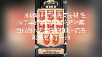 空乘女神优雅气质尤物〖下面有根棒棒糖〗黑丝空姐女神空降五星级酒店服务金主爸爸 极品女神穷人的女神富人的精盆