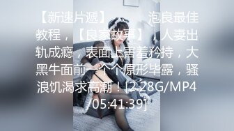 超火小姐姐推荐极品美图 Photochips Vol.129 No.17 Dami 大尺度假 J插入私拍套图