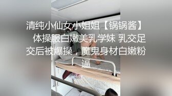 京城小母狗，就喜欢被暴力对待