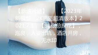 久久久久人妻一道无码AV