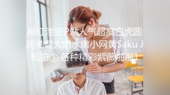 专业级的性感小女仆