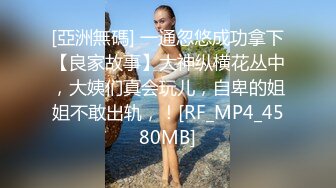 蜜桃影像传媒 PMC413 为爱痴狂化身SM女王 艾熙