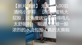 大屌征战少妇，嗷嗷干-酒吧-厕所-对话-后入-人妻