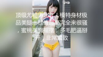 荡妇的风流故事