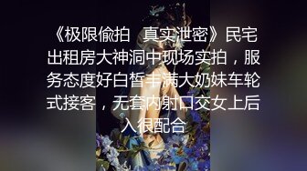 十分耐玩的少妇4