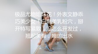 秀人网美乳模特尔兰酒店超私拍被摄影师用毛笔玩粉嫩小穴菊花