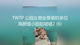 TWTP 公园女厕全景偷拍多位高颜值小姐姐嘘嘘2 (6)