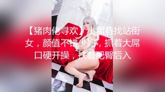 【猪肉佬寻欢】小黑巷找站街女，颜值不错少妇，抓着大屌口硬开操，扶着肥臀后入