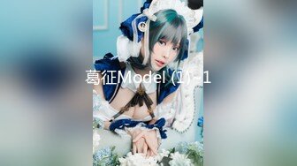 葛征Model (1)~1