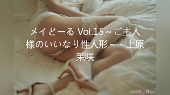 メイどーる Vol.15～ご主人様のいいなり性人形～ - 上原茉咲