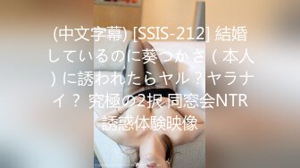 [DASD-758] ヤレそうでヤレない。美人で有名なママがいる地方で人気のスナック店 篠田ゆう