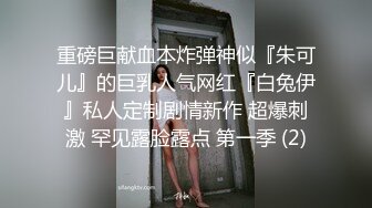 极品熟女美少妇内裤五颜六色的，网袜后入操逼