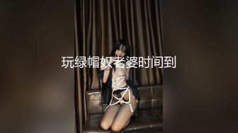 泰国极品TS【mygif77】26小时合集 【220V】 (30)