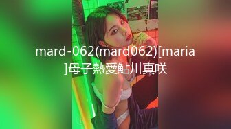 麻豆傳媒 MD0245 爆乳女記者 新人女優 林襄