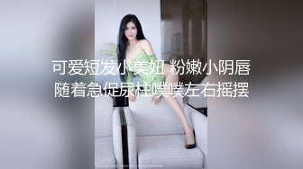 短发人妻骚熟女苗条身材大长腿胖子就好这口扛起双腿沙发操的吱吱响