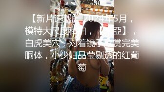 【AI换脸视频】刘涛 人妻丝袜伺候