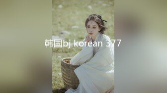 韩国bj korean 377