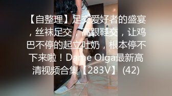 精品收藏 快快下载！王动模特ijoycebabe粉丝群文件整理[210P+18V/496M]