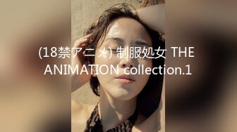 (18禁アニメ) 制服処女 THE ANIMATION collection.1