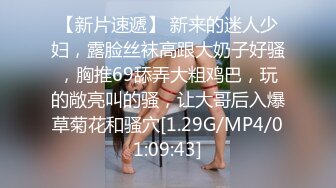 女仆主题系列第一集 看热度出二三集。