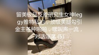 留美极品反差研究生女神leggy推特私拍，顶级美腿勾引金主各种啪啪，嗲叫声一流，对话淫荡 (5)