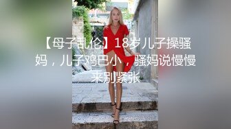 【最新流出破解泄密】私房十二月最新流出破解摄像头家庭各种夫妻啪啪啪11 操孕妇性爱篇 温柔侧入后插啪啪 (7)