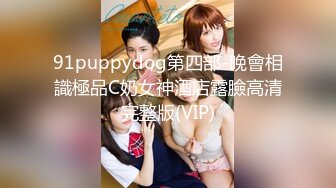 91puppydog第四部-晚會相識極品C奶女神酒店露臉高清完整版(VIP)