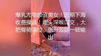 [2DF2] 平安夜美妞陪我一起嗨~完美身材[BT种子]