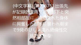 (中文字幕) [NSFS-039] 寝取られの館2 ～ダッチワイフにされた妻～ 佐伯由美香