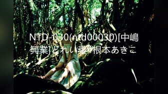 NTD-030(ntd00030)[中嶋興業]どれい妻4根本あきこ