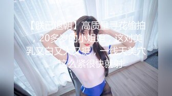 麻豆传媒女神乱爱MSD-071《少爷的乖女仆》无套操干湿润骚穴 清新女神袁子仪