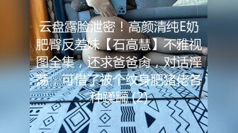 云盘露脸泄密！高颜清纯E奶肥臀反差妹【石高慧】不雅视图全集，还求爸爸肏，对话淫荡，可惜了被个纹身肥猪佬各种蹂躏 (2)